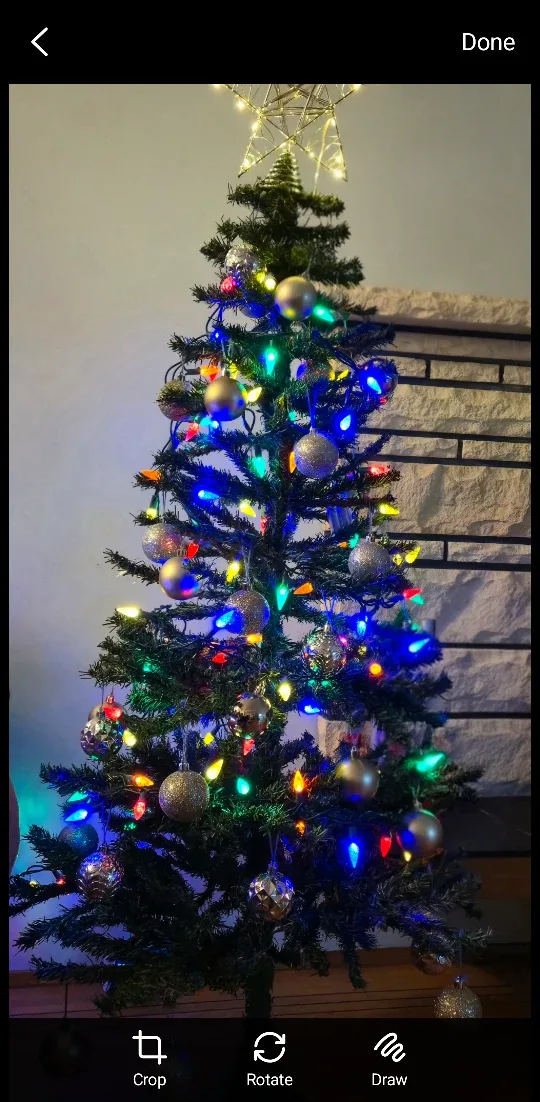 Christmas Tree with Star Topper
