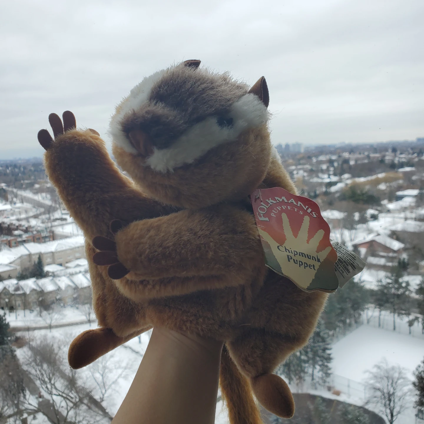 Folkmanis Chipmunk Puppet - Adorable! - photo 3