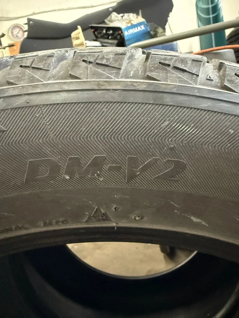 Bridgestone Blizzak DM-V2 Winter Tires image indicator(2)