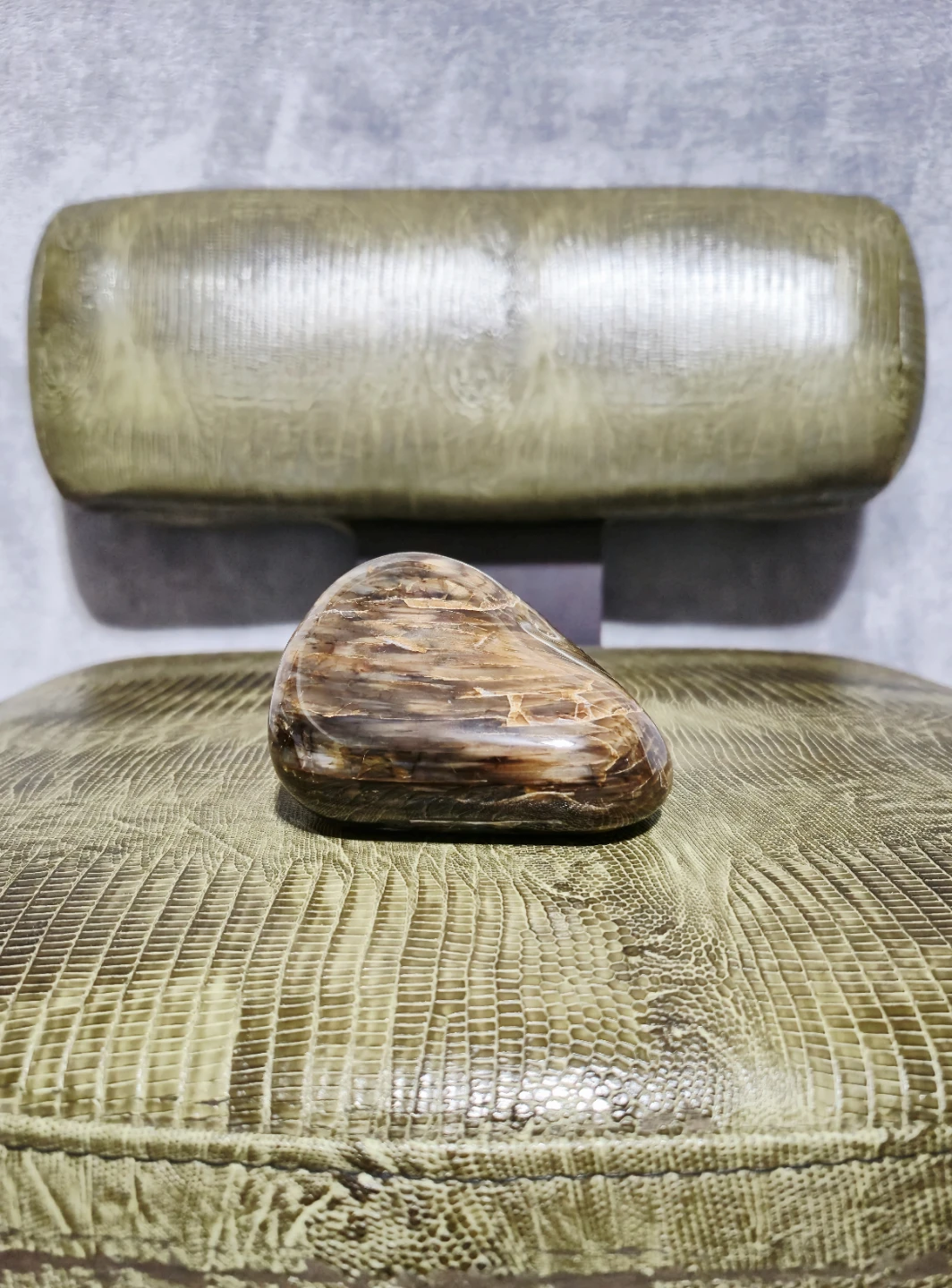 Polished Petrified Wood