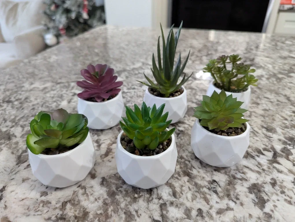 Small Artificial Succulent Plants in White Pots