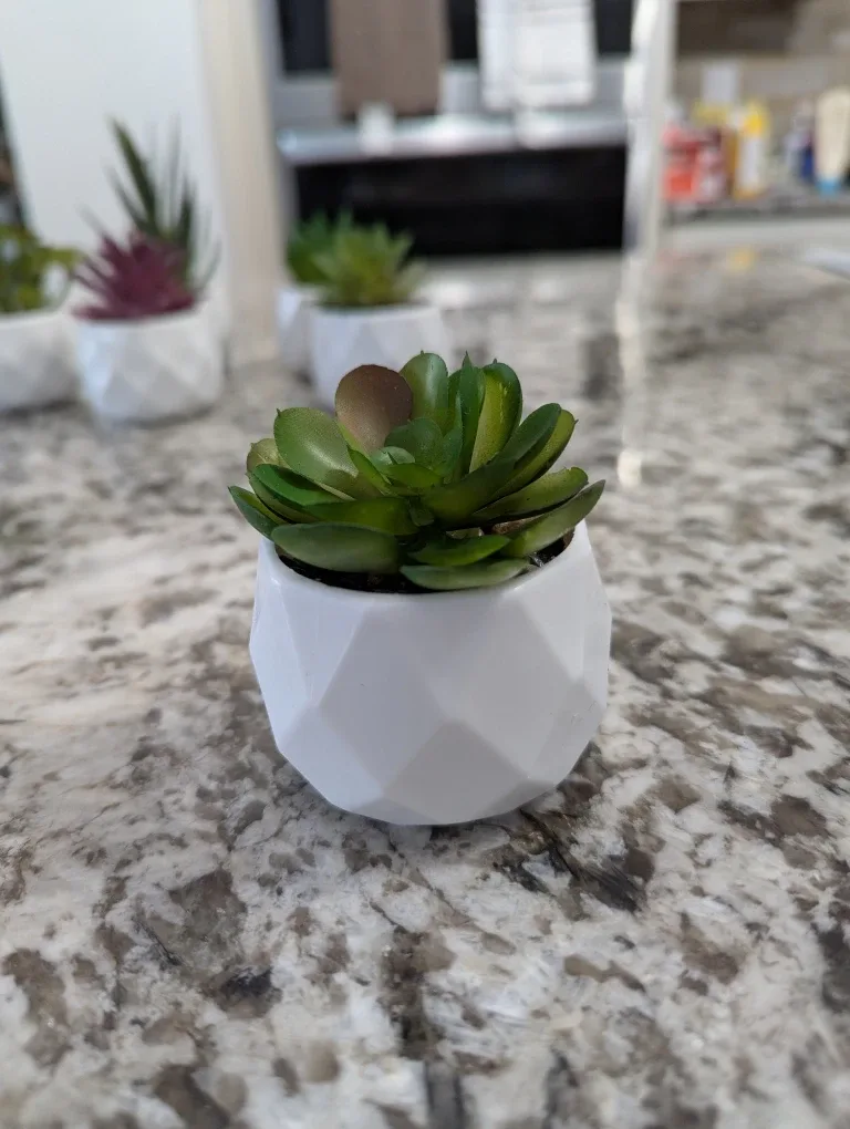Small Artificial Succulent Plants in White Pots image indicator(4)