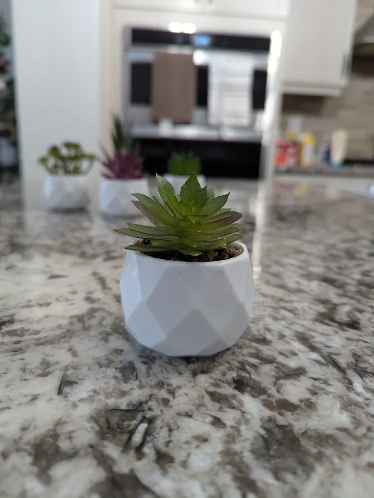 Small Artificial Succulent Plants in White Pots image indicator(5)