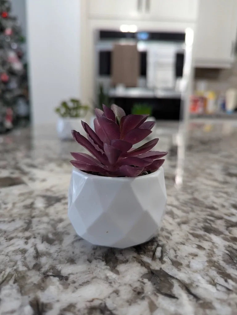 Small Artificial Succulent Plants in White Pots image indicator(6)