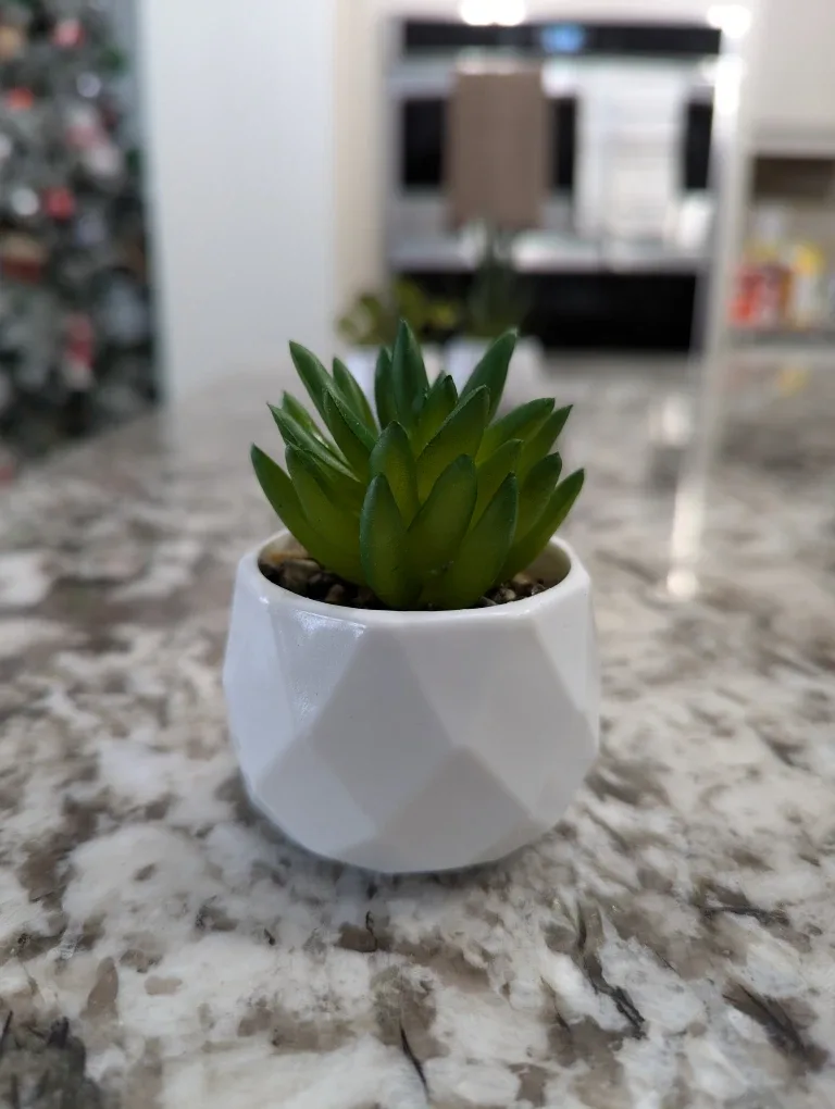 Small Artificial Succulent Plants in White Pots image indicator(7)