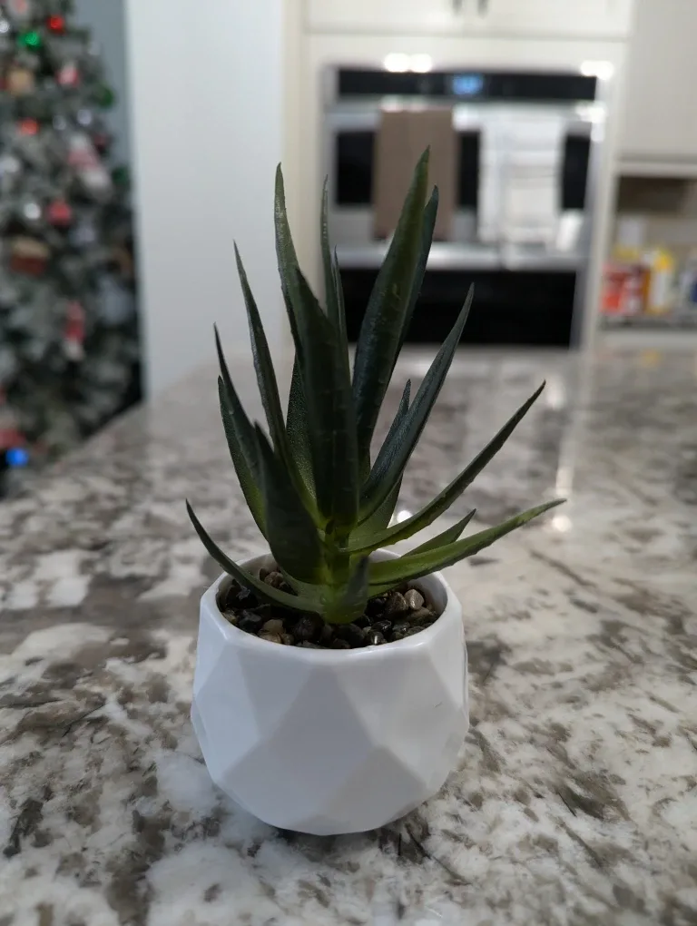 Small Artificial Succulent Plants in White Pots image indicator(8)