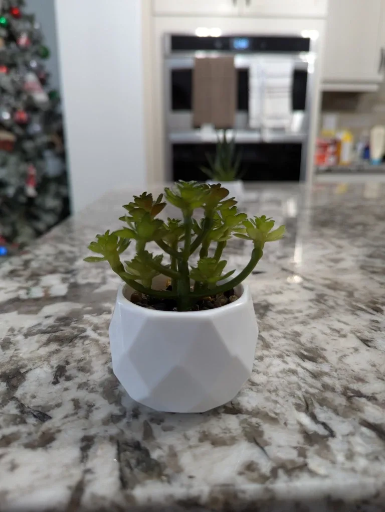 Small Artificial Succulent Plants in White Pots image indicator(9)