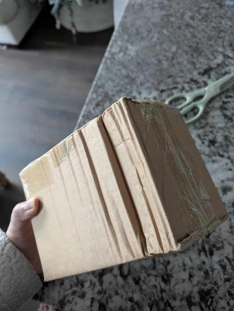 Small Artificial Succulent Plants in White Pots image indicator(10)