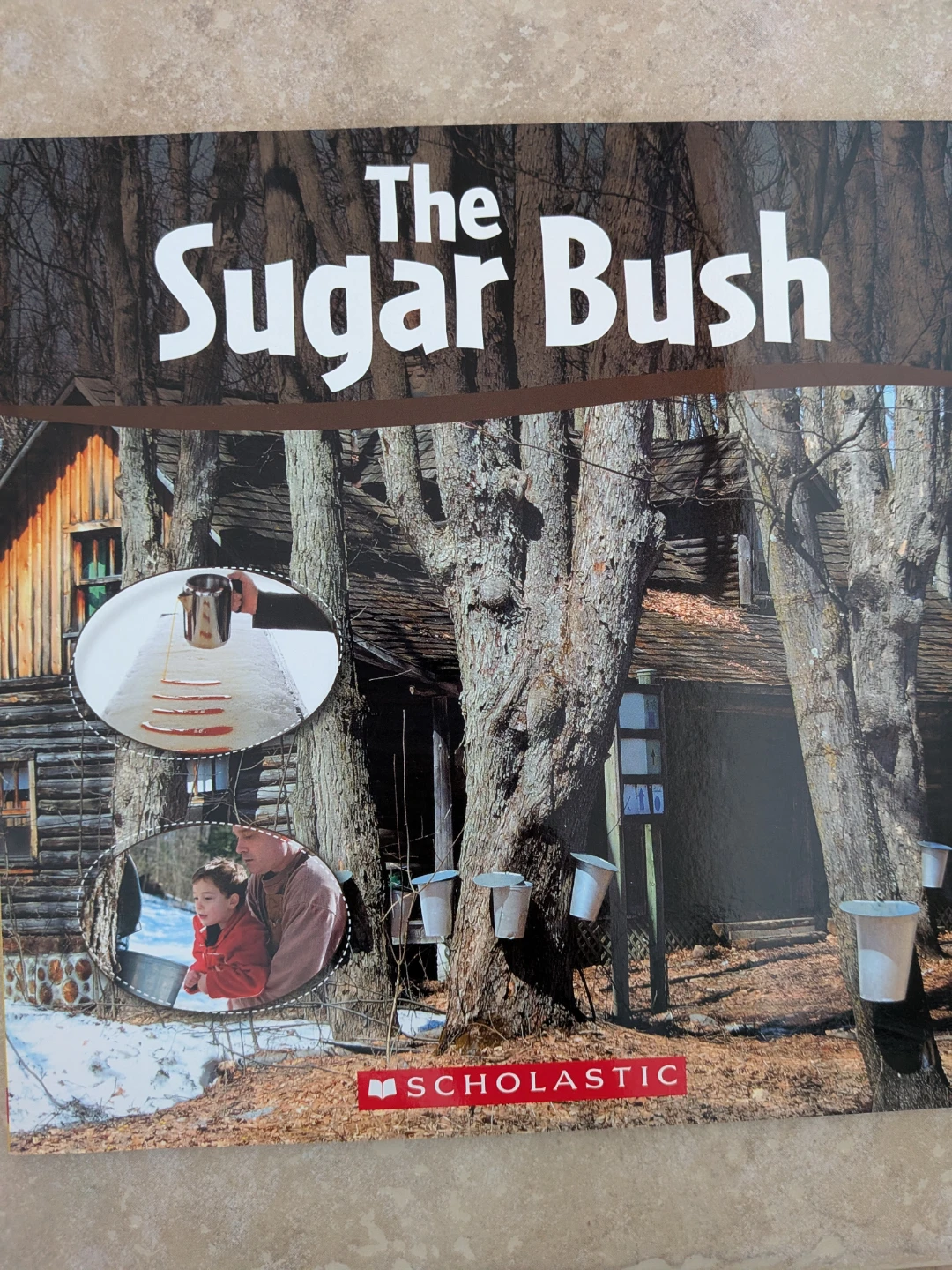 The Sugar Bush by Scholastic