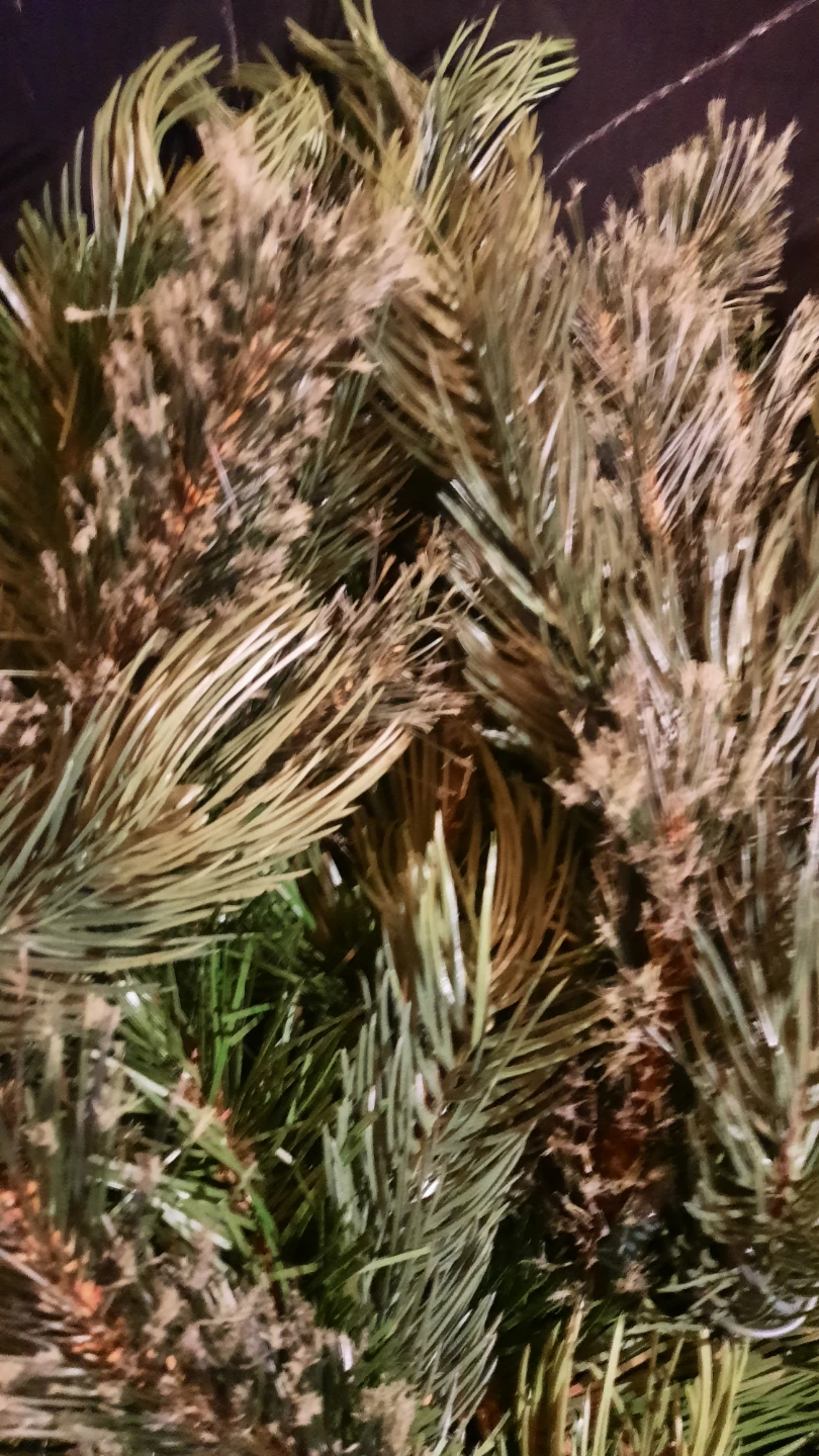 7.5ft Christmas Tree - photo 4