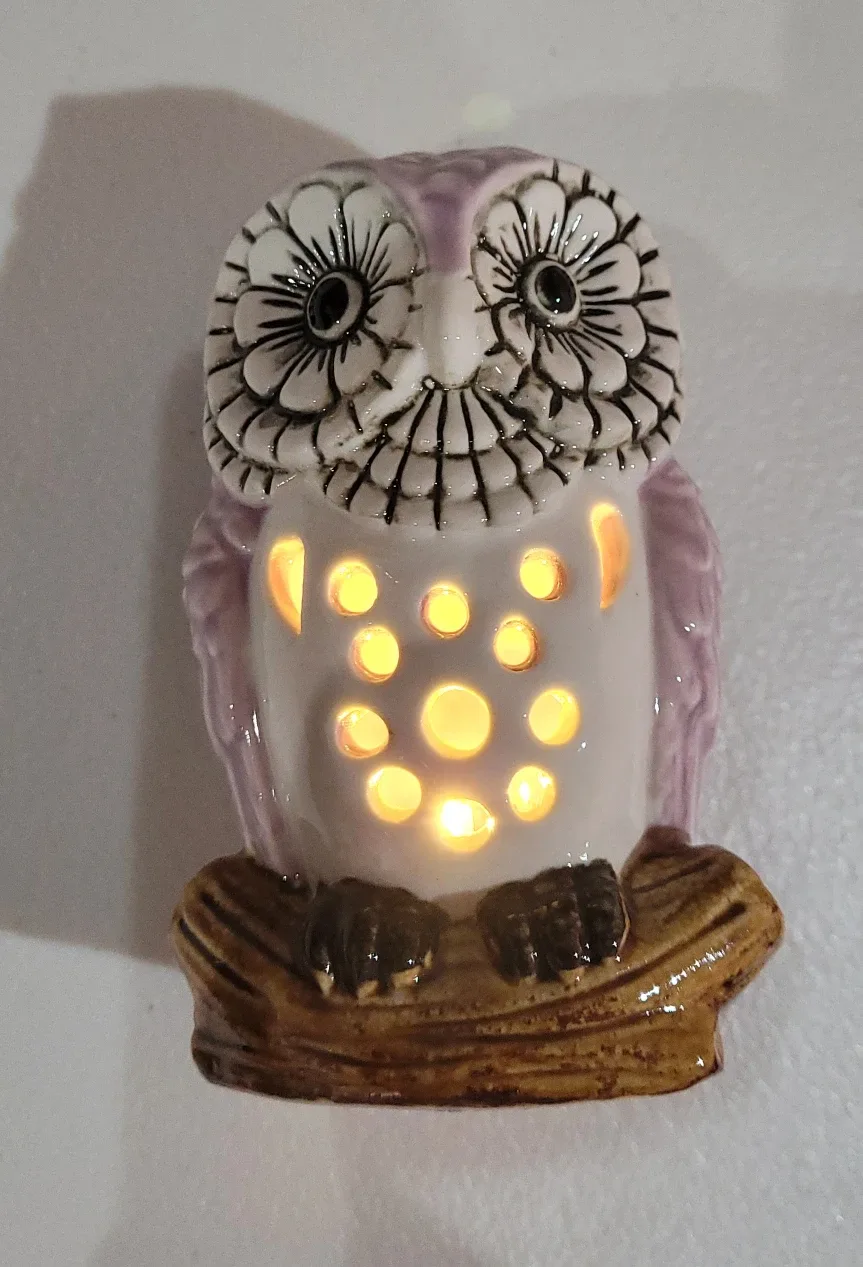 Owl Ceramic Light