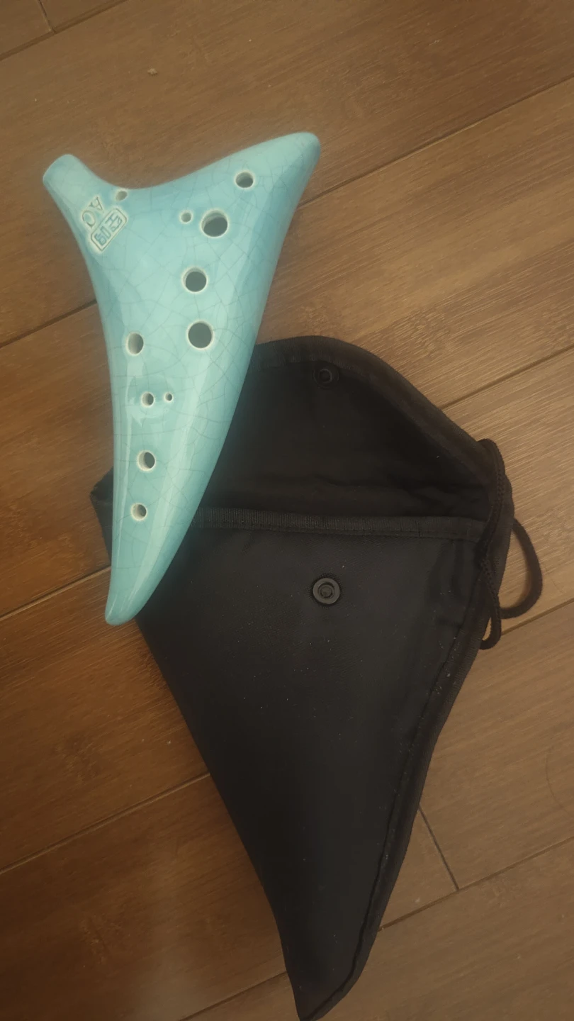 Ocarina Musical Instrument with Case