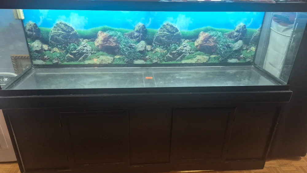 Fish Tank with Stand