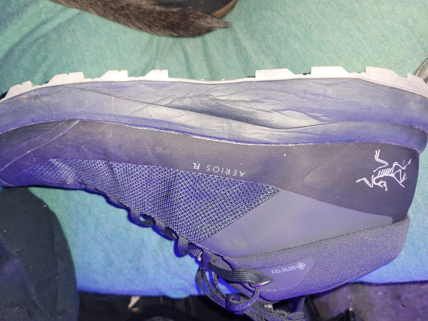 Arc'teryx Aerios FL GTX Trail Running Shoes