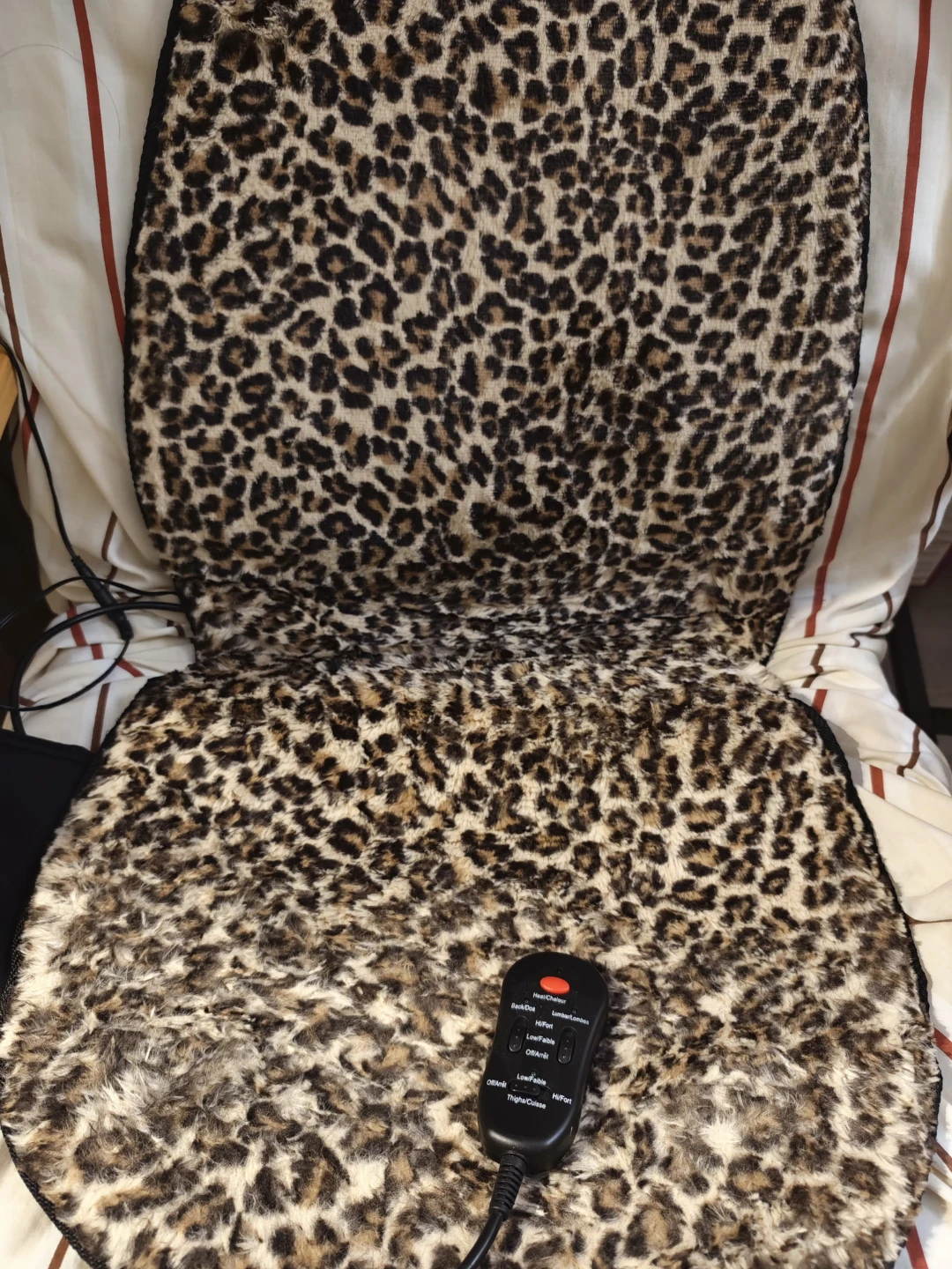 Heated and massaging seat cushion