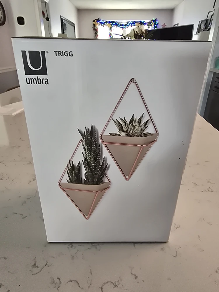 Umbra Trigg Wall Vessel - Set of 2