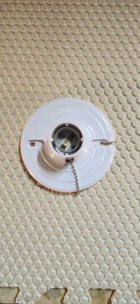Eagle Light Socket Fixture