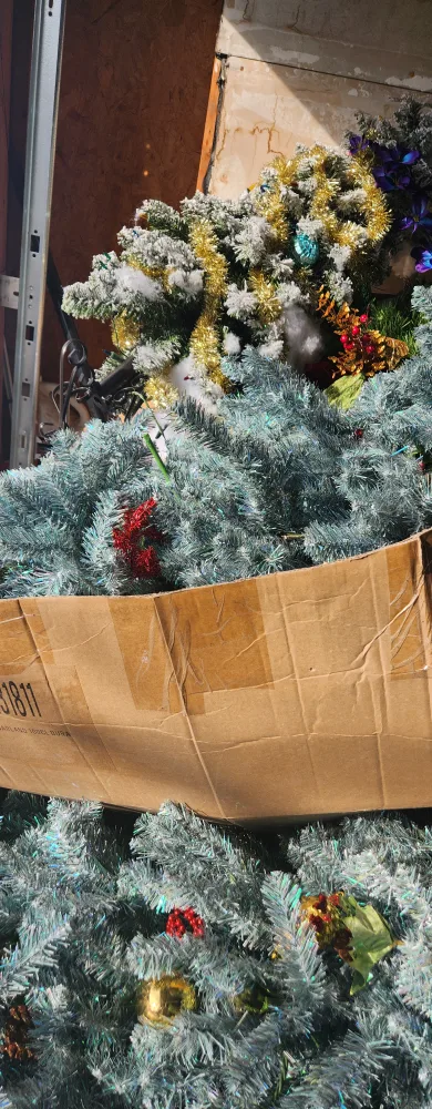 Christmas Trees in Box