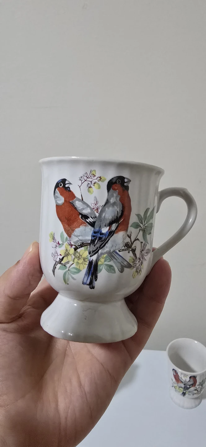 Set of 4 Bird Design Coffee/Tea Mugs - photo 2