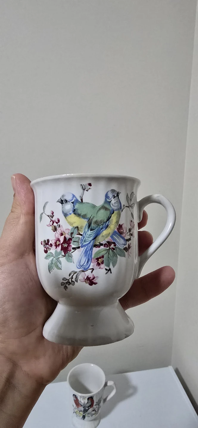Set of 4 Bird Design Coffee/Tea Mugs - photo 4