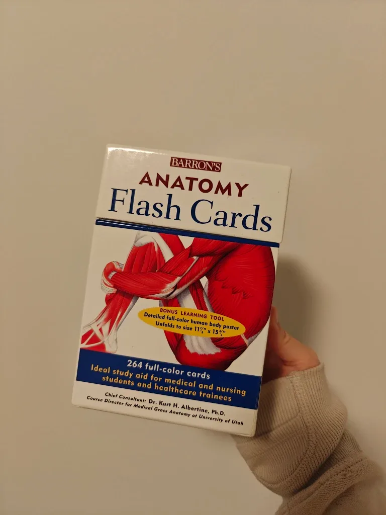 Barron's Anatomy Flash Cards