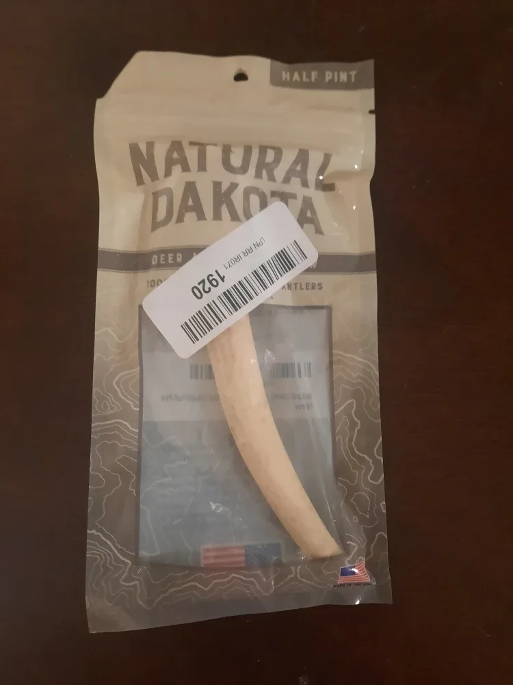 Natural Dakota Deer Antler - Half Pint
