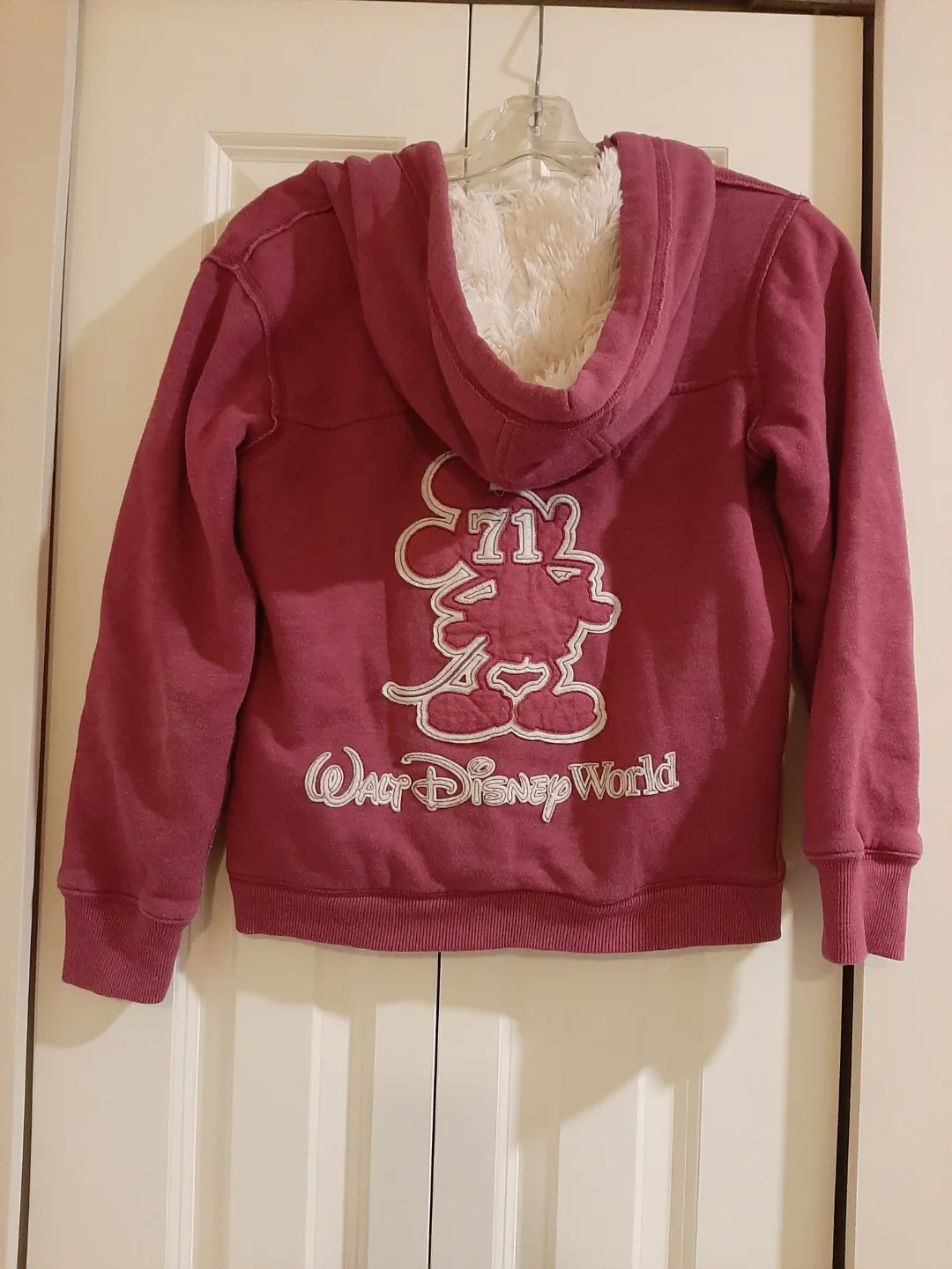 Disney Parks Walt Disney World Hoodie - Size M image indicator(3)