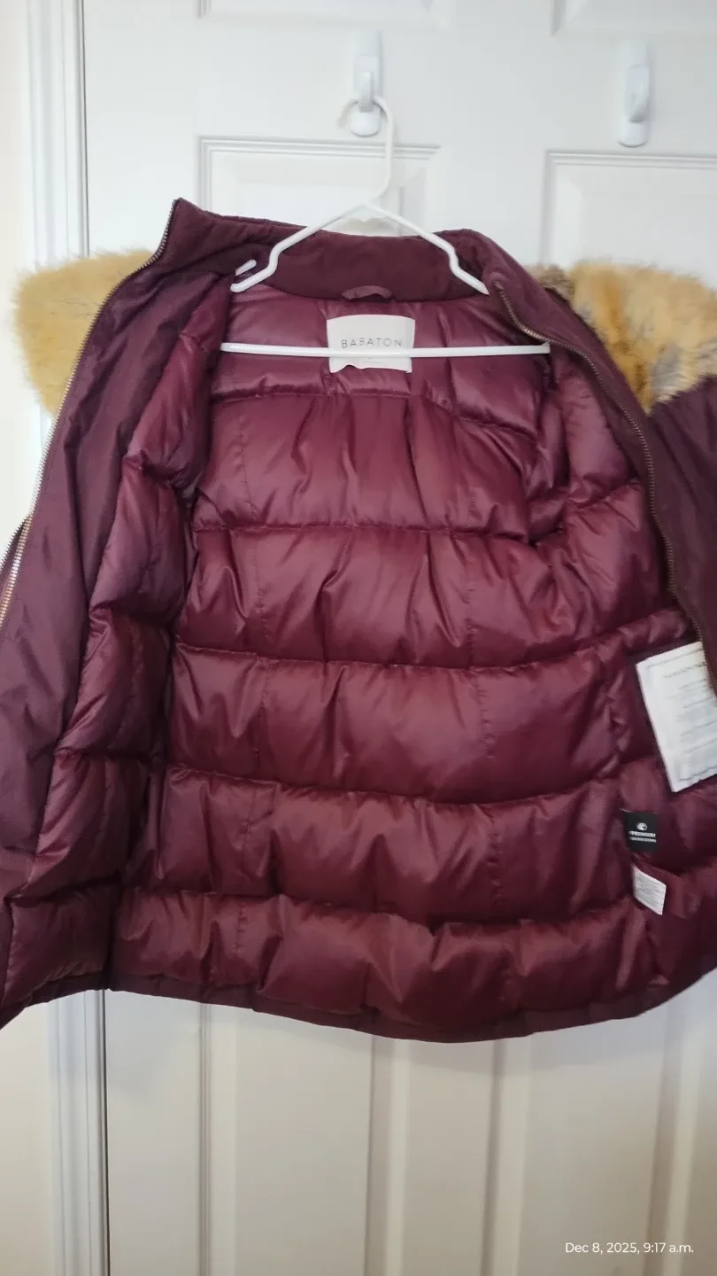 Aritzia Harrison Parka – Warm, Size S – Quick Sale $90 OBO image indicator(3)