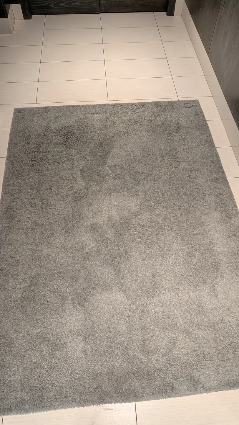 Grey Area Rug image indicator(3)