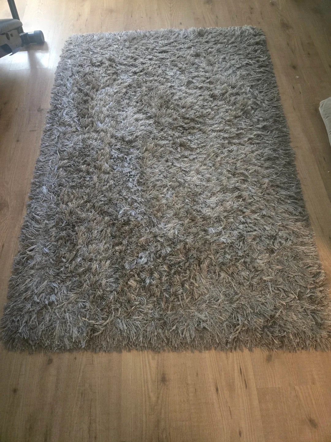 Shaggy Area Rug - Neutral Tone