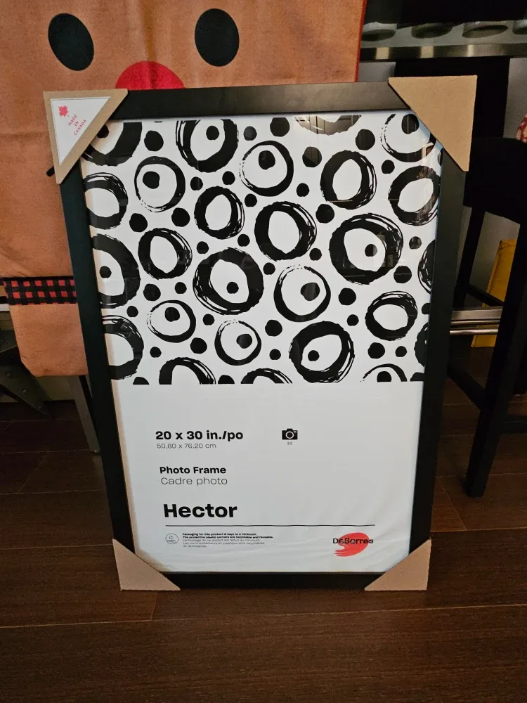 DeSerres Hector Photo Frame 20x30in New