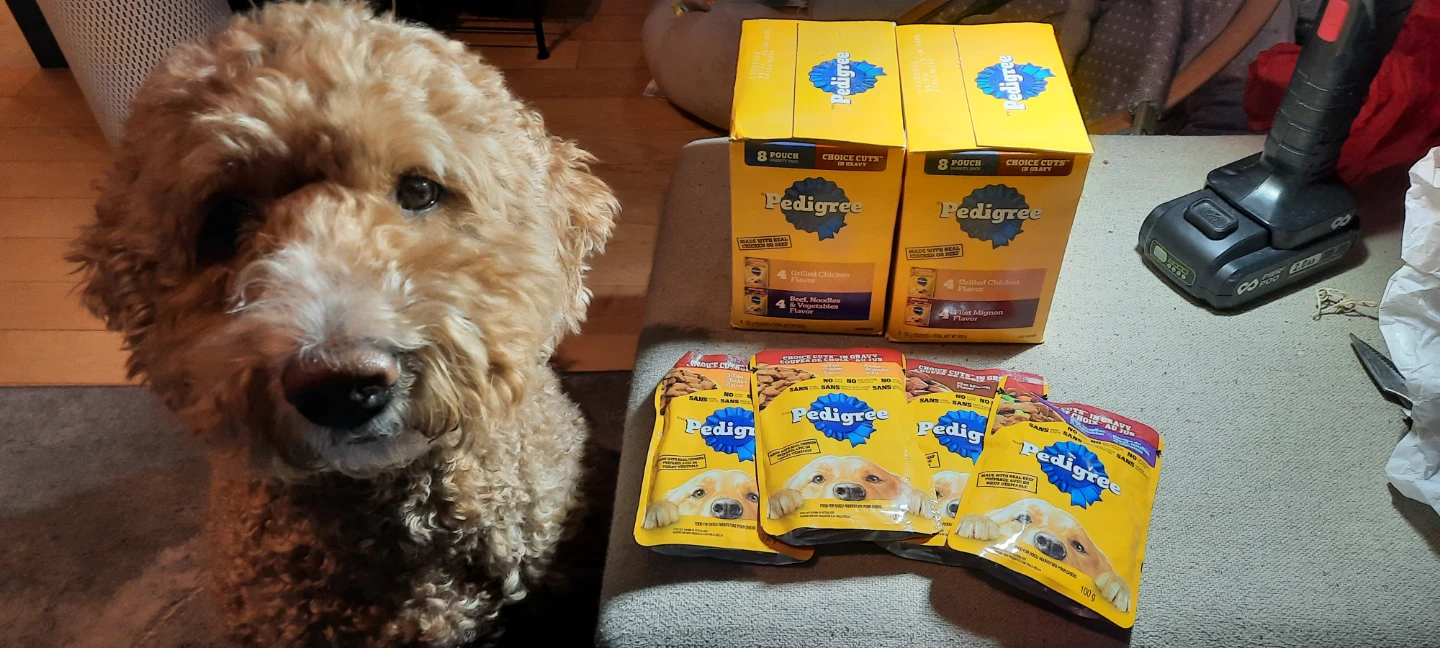 Pedigree Choice Cuts in Gravy Wet Dog Food x20 - photo 2