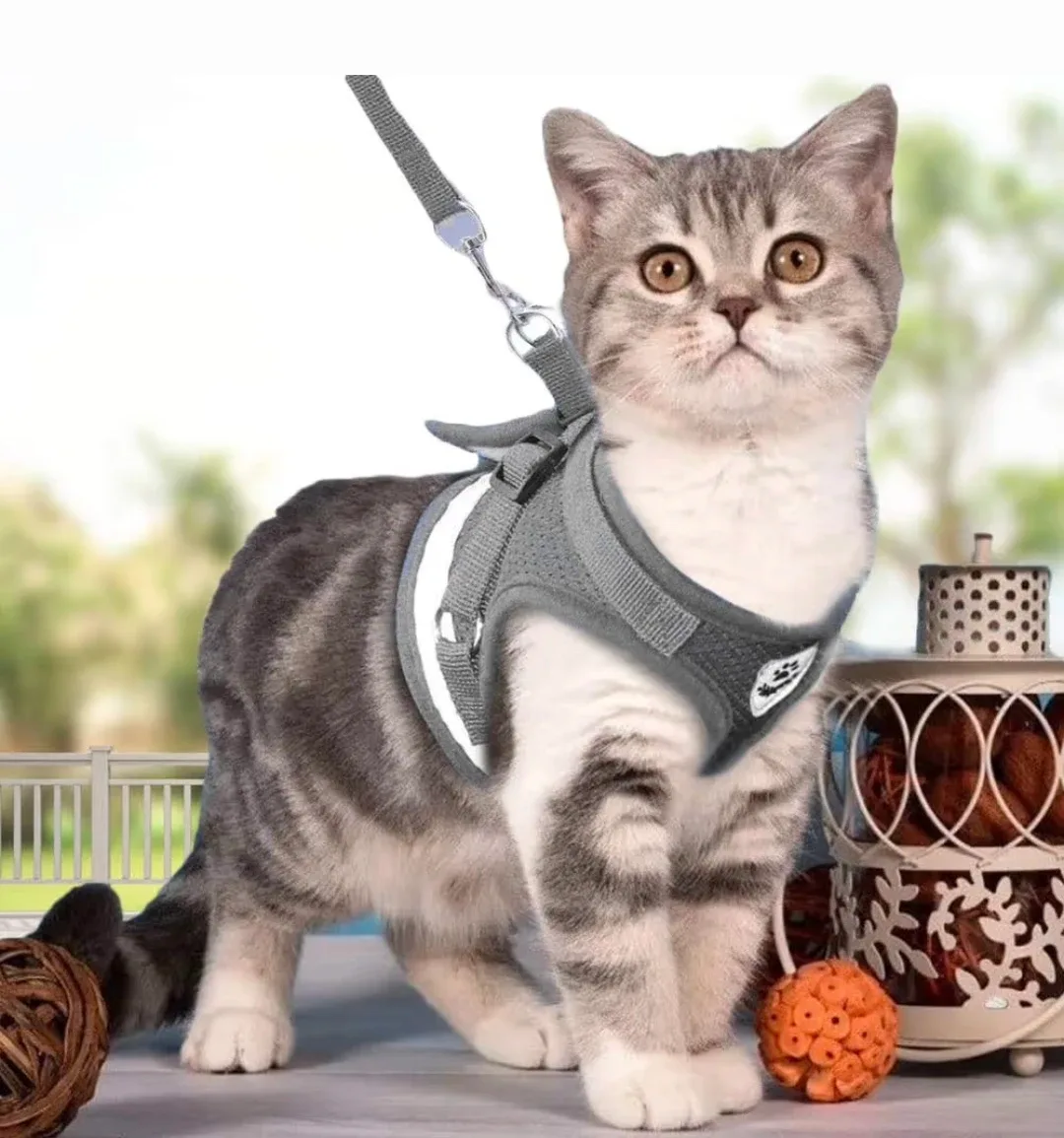 Offers Welcome: Grey Dog or Kitty Harness & Leash (S) #Cleanout image indicator(2)