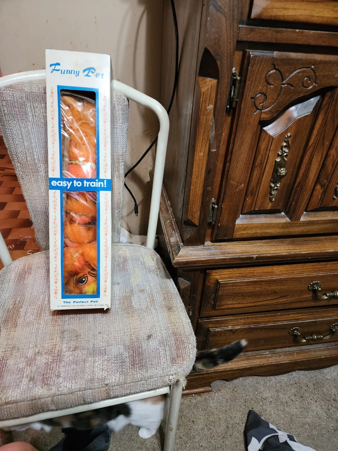 Funny Pet - The Perfect Pet!