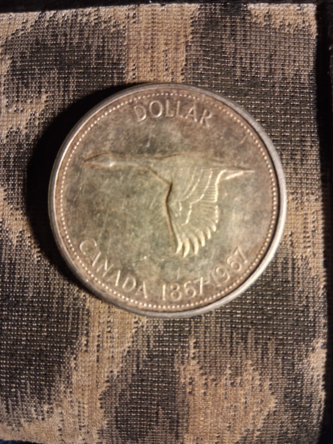 Rare! Canadian Diving Goose Dollar 1867-1967