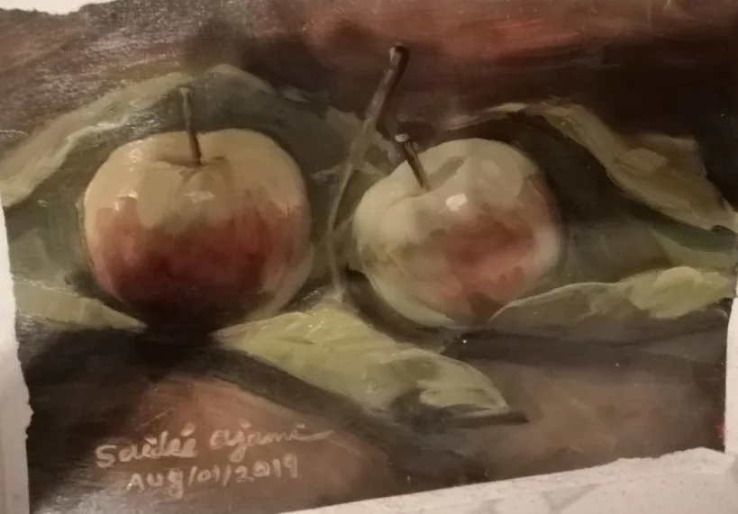 Oil colour apples painting original