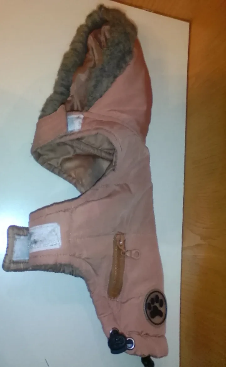 Dog Padded Winter Coat #Cleanout