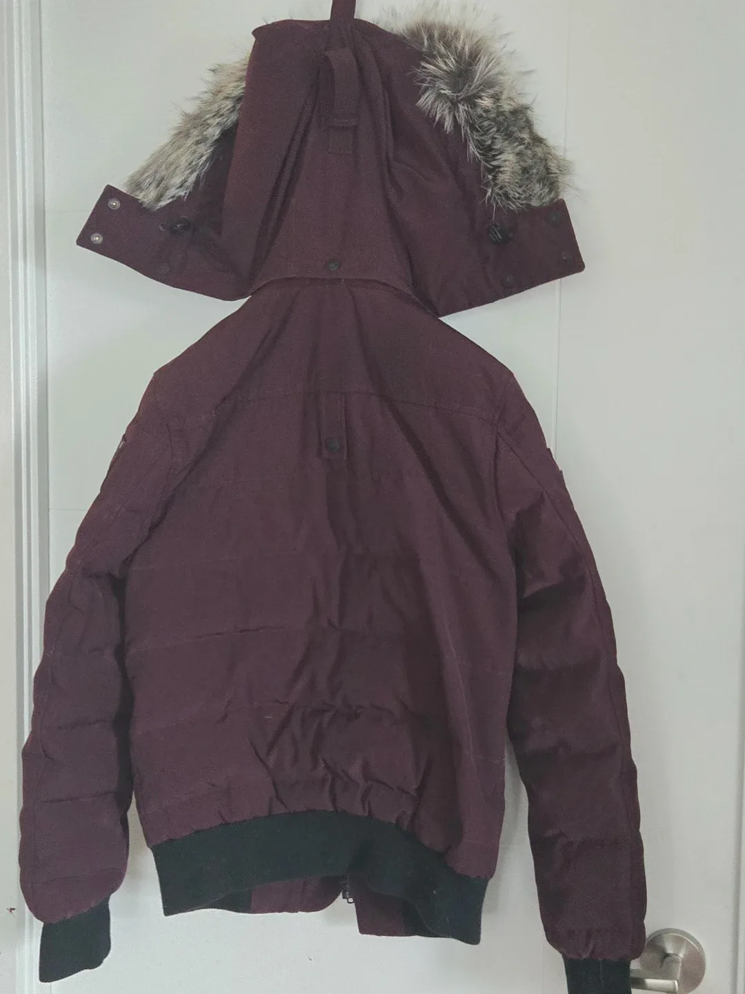 Moose Knuckles Down Bomber Jacket - Size S freshly dry cleaned image indicator(6)