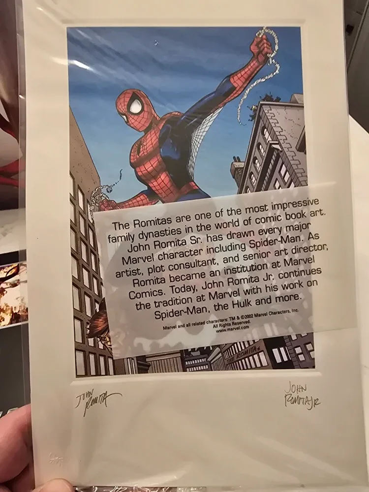 Spider-Man Limited Edition DVD Collector's Gift Set image indicator(4)