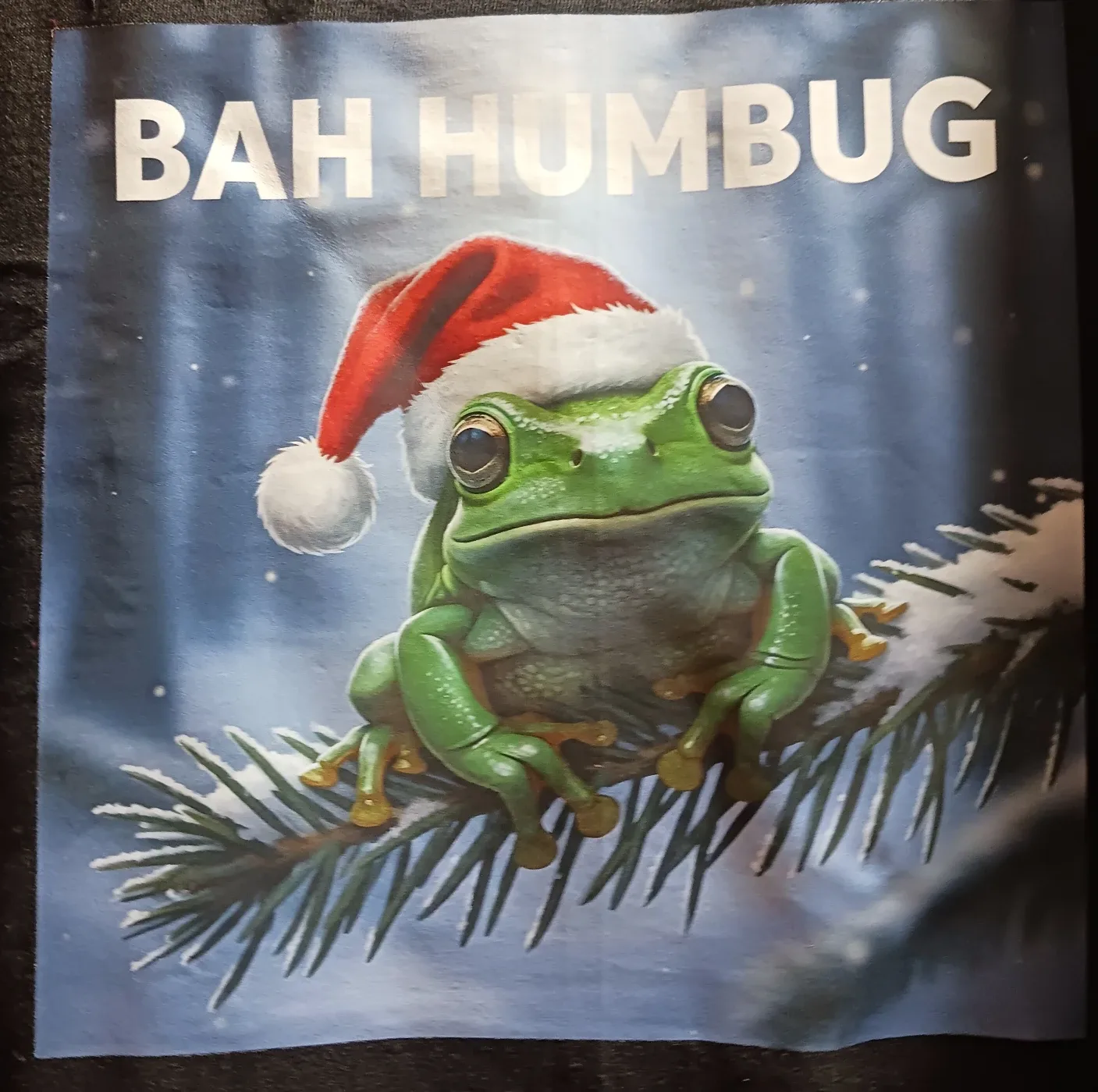 Bah Humbug Frog Christmas T-Shirt image indicator(2)