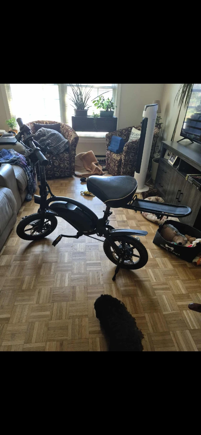 Jetson Bolt Pro Electric Bike - photo 4
