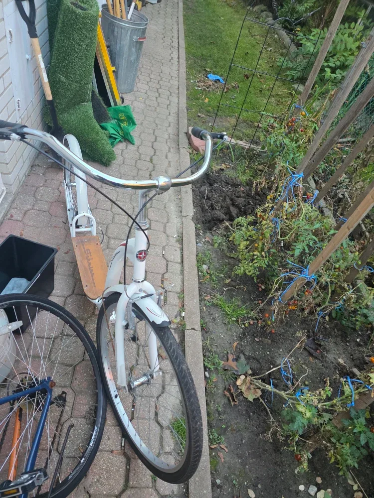 Schwinn S150 Adult Scooter - White image indicator(2)