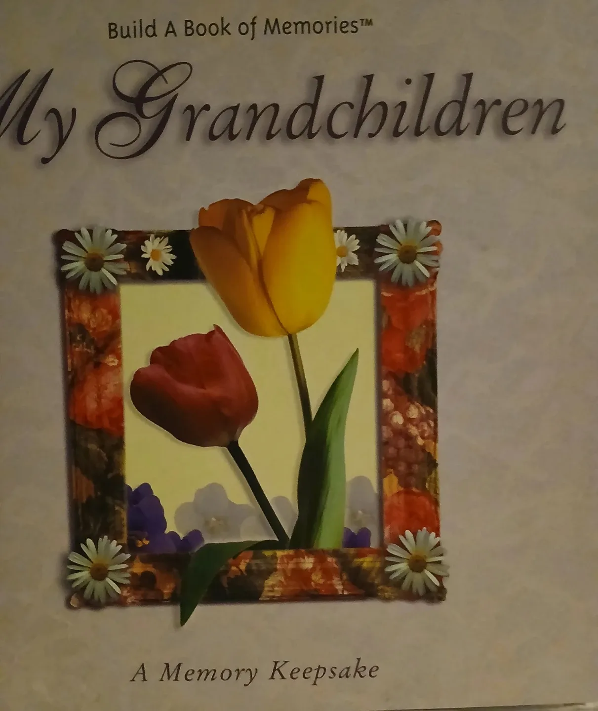 My Grandchildren Memory Keepsake Book