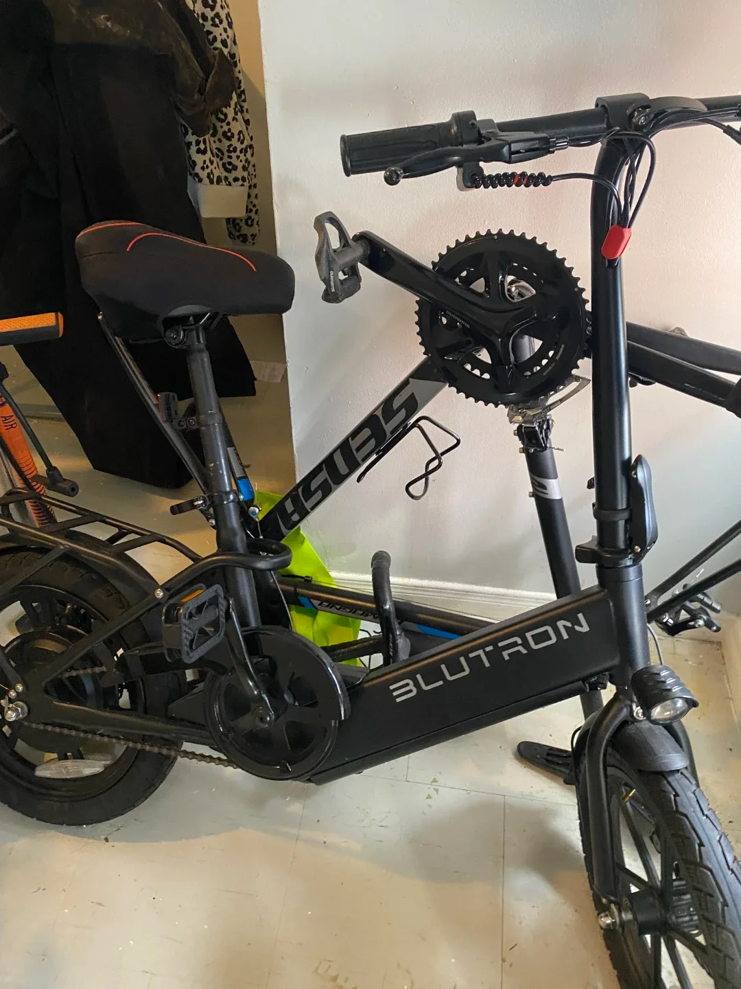 Blutron Electric Bike