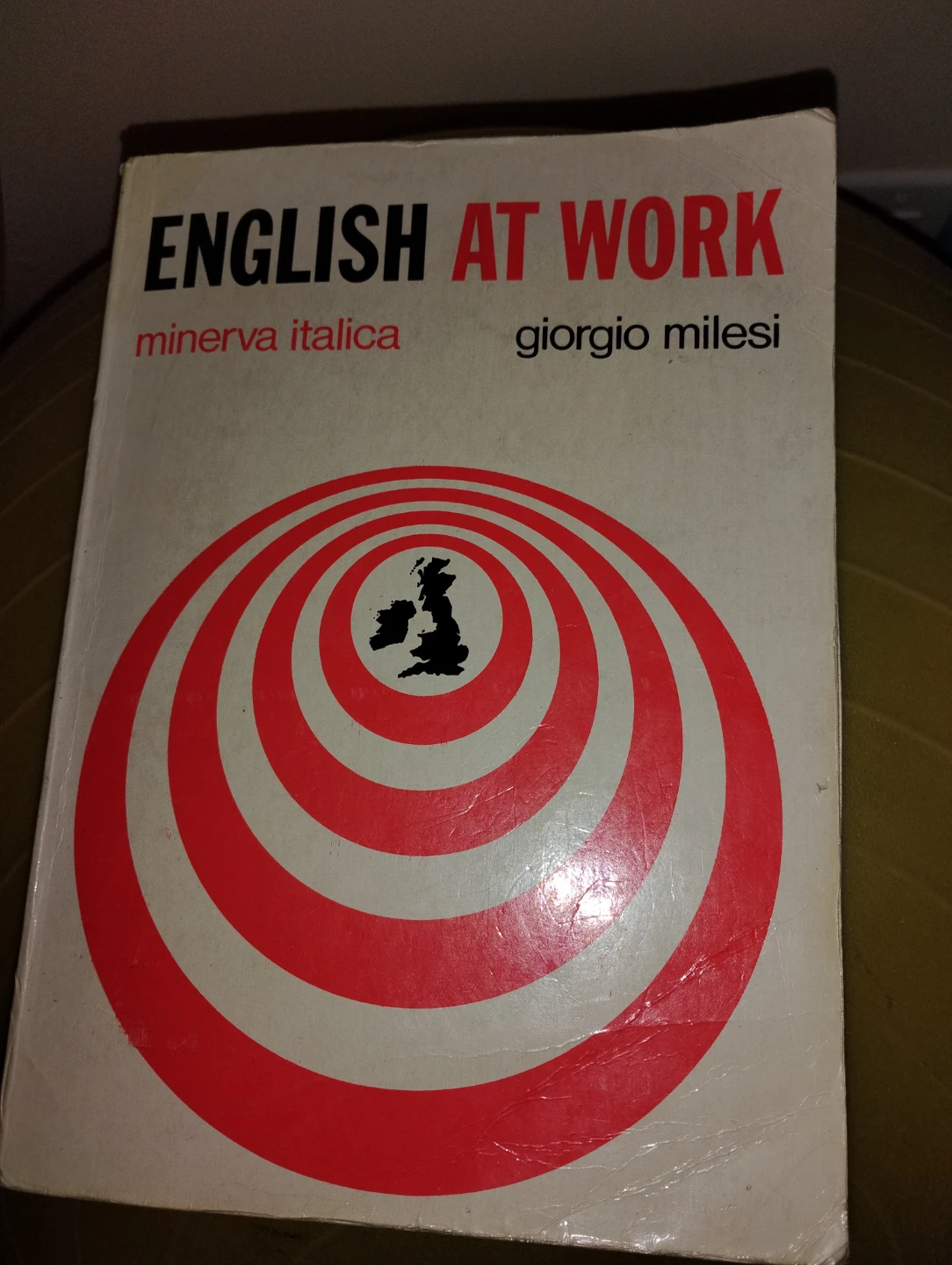 English At Work Book by Minerva Italica