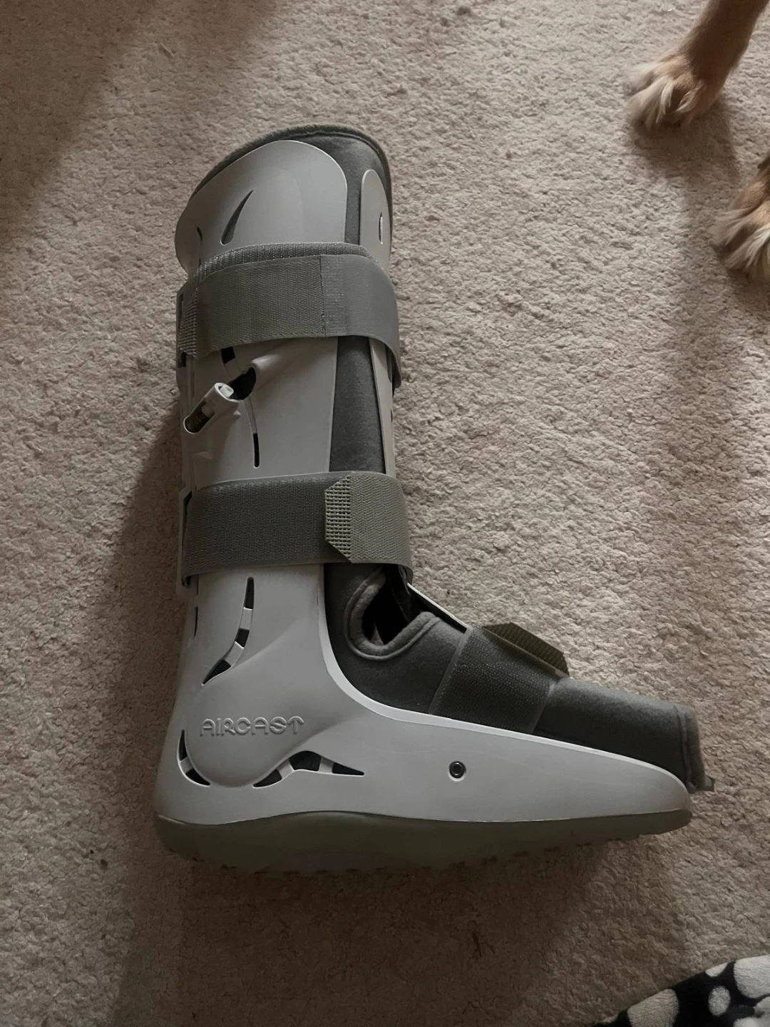 Aircast FP Walker Medium - photo 4