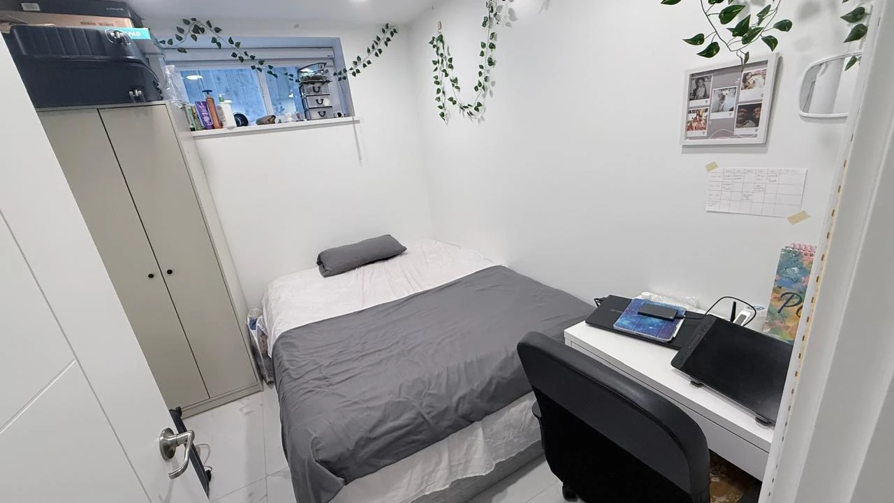 Free Queen Mattress