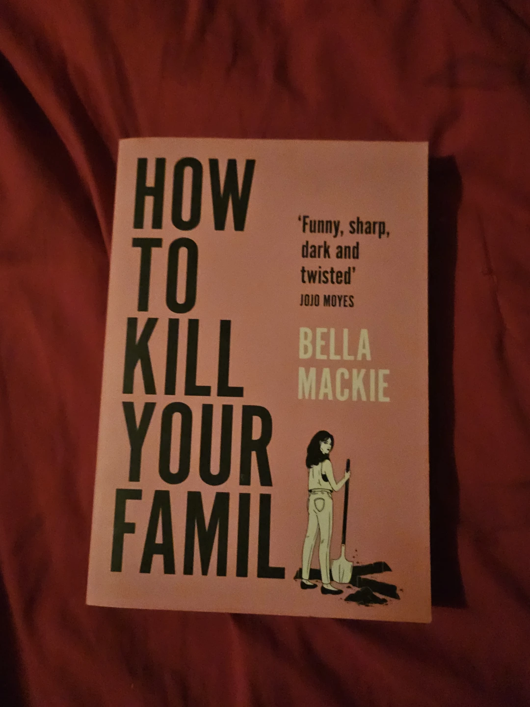 How to Kill Your Family by Bella Mackie