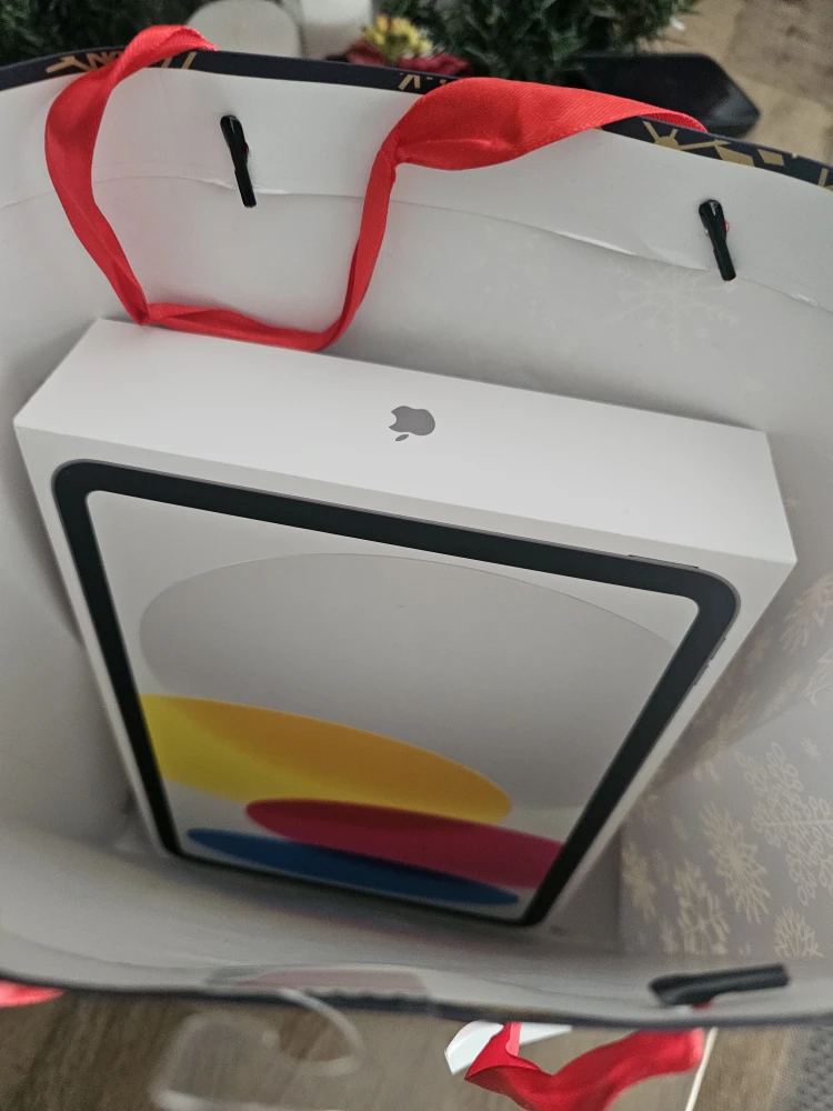 New Apple iPad (A16) Wi-Fi 128GB - photo 4