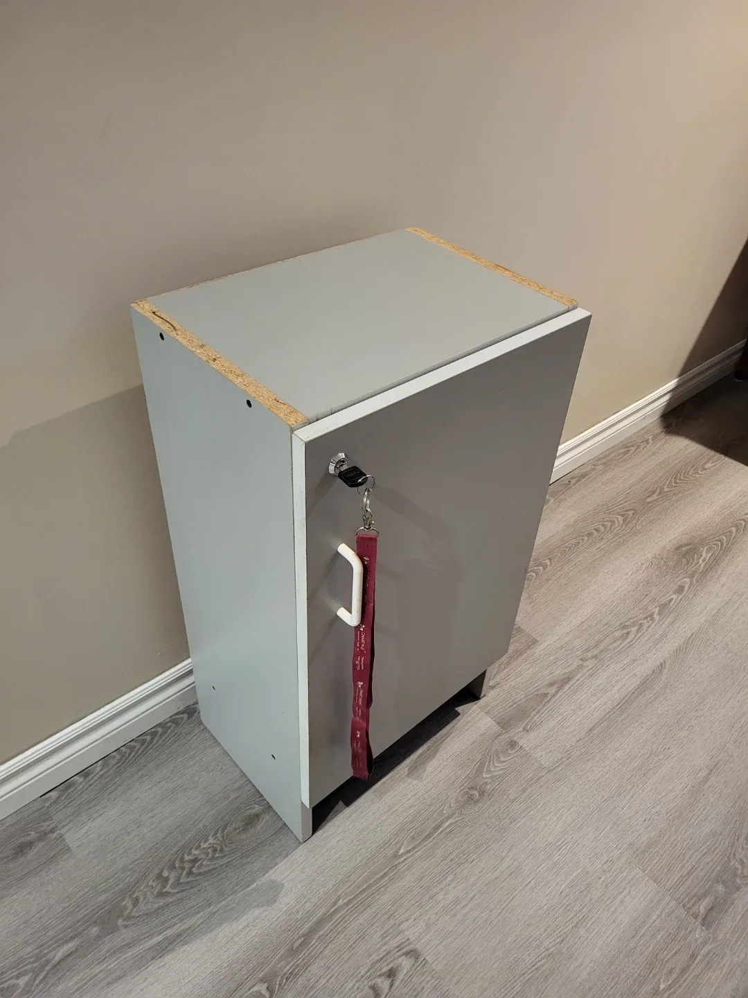 Grey Storage Cabinet with Working Lock image indicator(2)